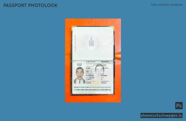 Beispielansicht für ein mongolisches Passfoto